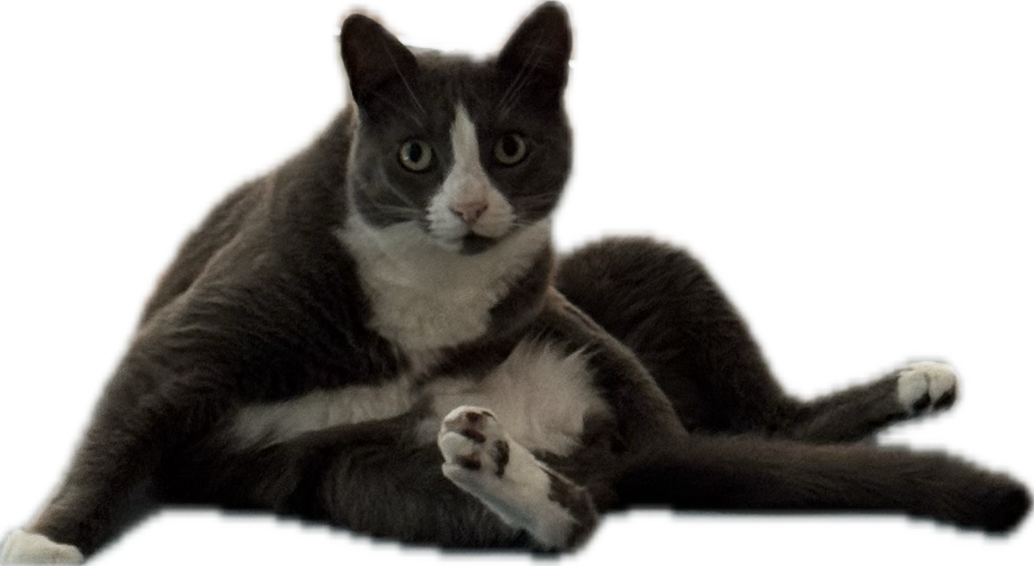 Gaussian Dynamics Gitlab